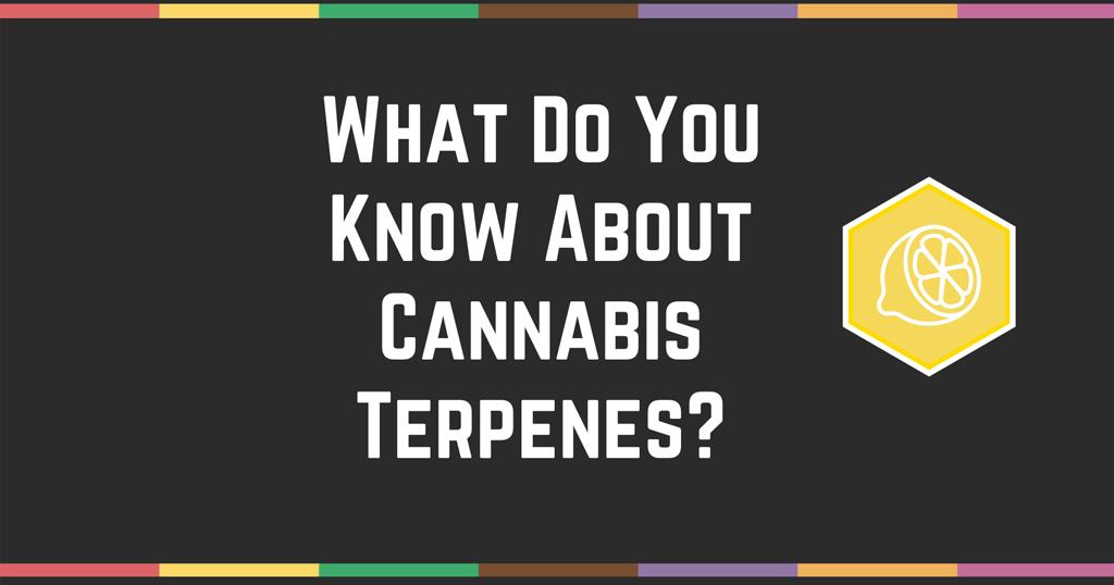 Cannabis Terpenes quiz